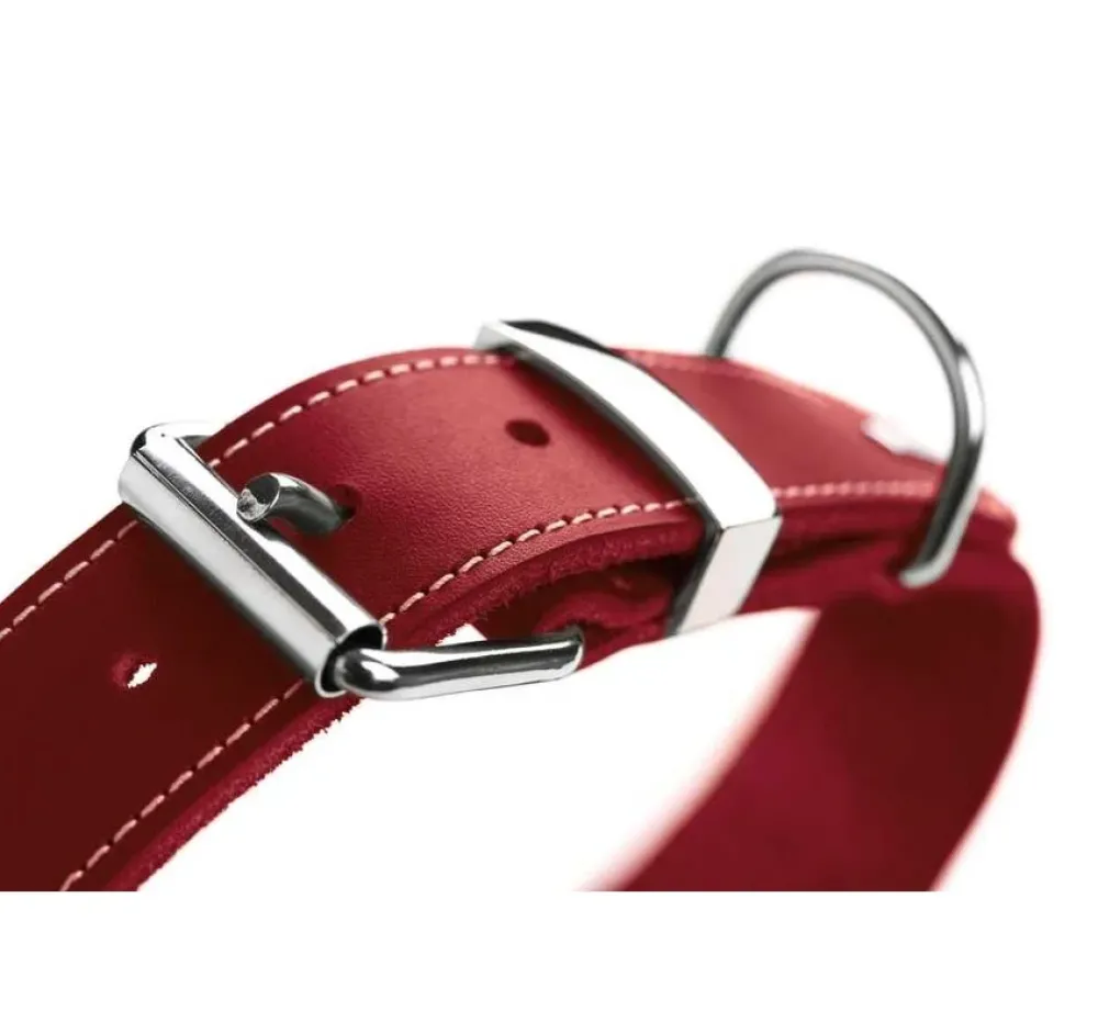Hunter Hondenhalsband Aalborg Special Rood- Hondenhalsband