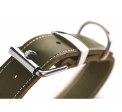 Hunter Hondenhalsband Aalborg Special Groen- Hondenhalsband