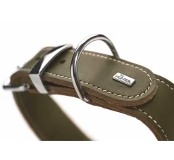 Hunter Hondenhalsband Aalborg Special Groen- Hondenhalsband