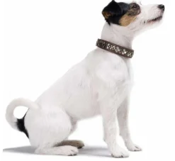 Hunter Hondenhalsband Arizona Up Bruin- Hondenhalsband