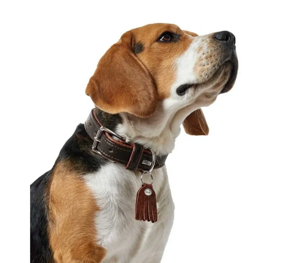 Hunter Hondenhalsband Cody Donkerbruin- Hondenhalsband