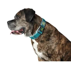 Hunter Hondenhalsband Hilo Vario Plus Turquoise- Hondenhalsband