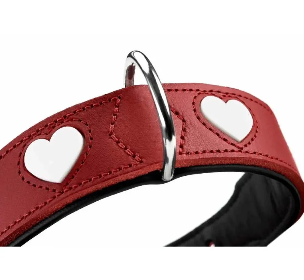 Hunter Hondenhalsband Love- Hondenhalsband