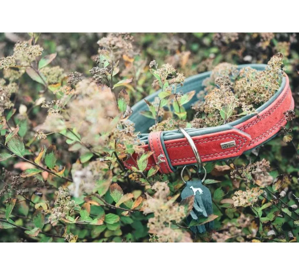 Hunter Hondenhalsband Lucca Rood- Hondenhalsband