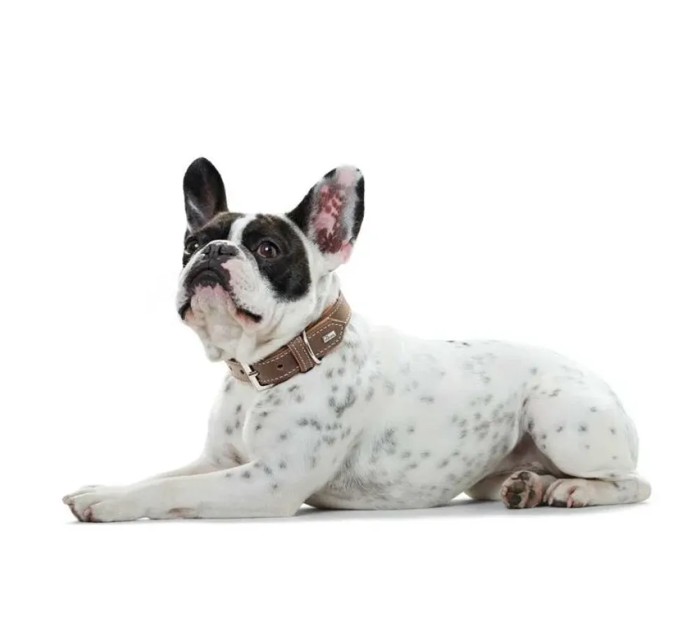 Hunter Hondenhalsband Porto Bruin- Hondenhalsband