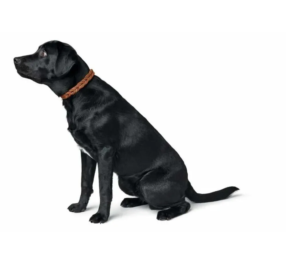 Hunter Hondenhalsband Solid Education Cord Bruin Oranje- Hondenhalsband