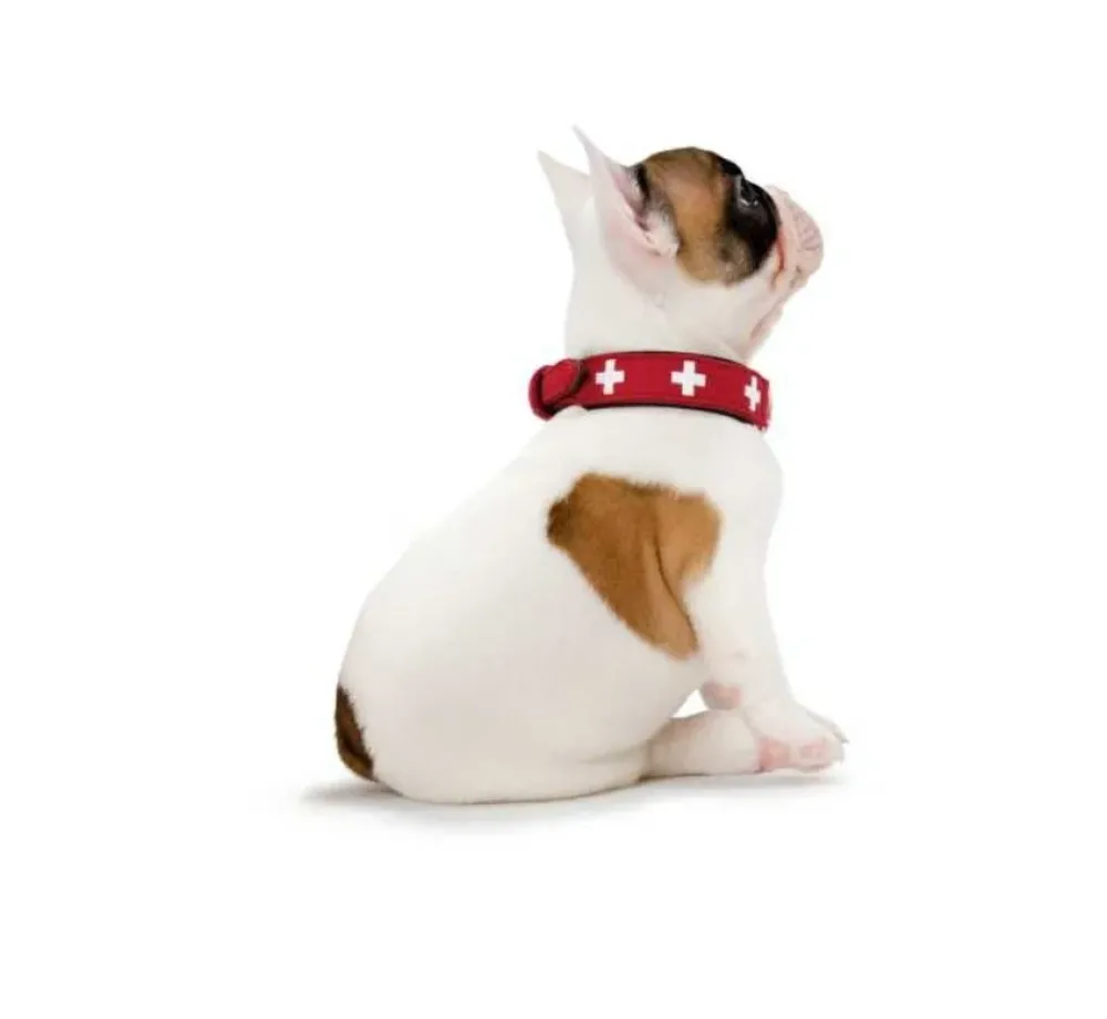Hunter Hondenhalsband Swiss Rood- Hondenhalsband