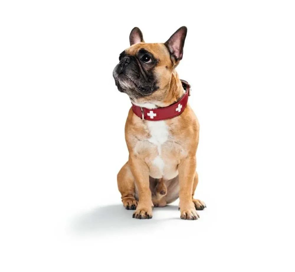 Hunter Hondenhalsband Swiss Rood- Hondenhalsband