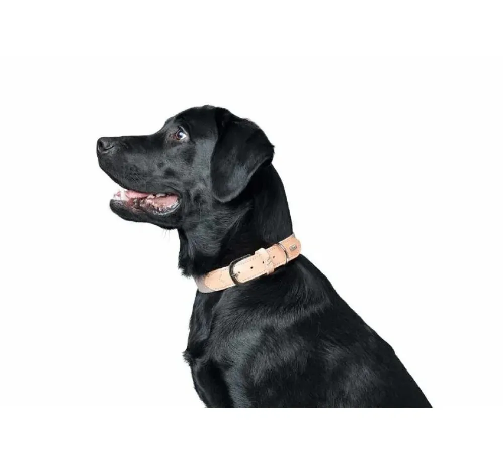 Hunter Hondenhalsband Trino- Hondenhalsband