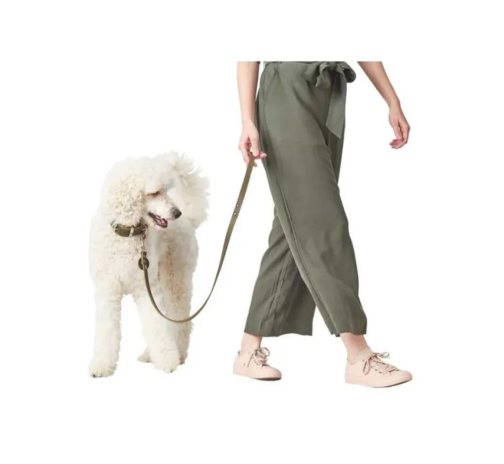 Hunter Hondenriem Groen Leer- Hunter Hondenriem