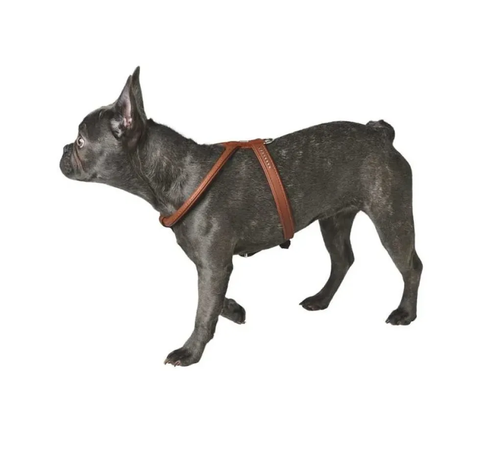 Hunter Hondentuig Elk Petit Cognac- Hunter Hondentuig