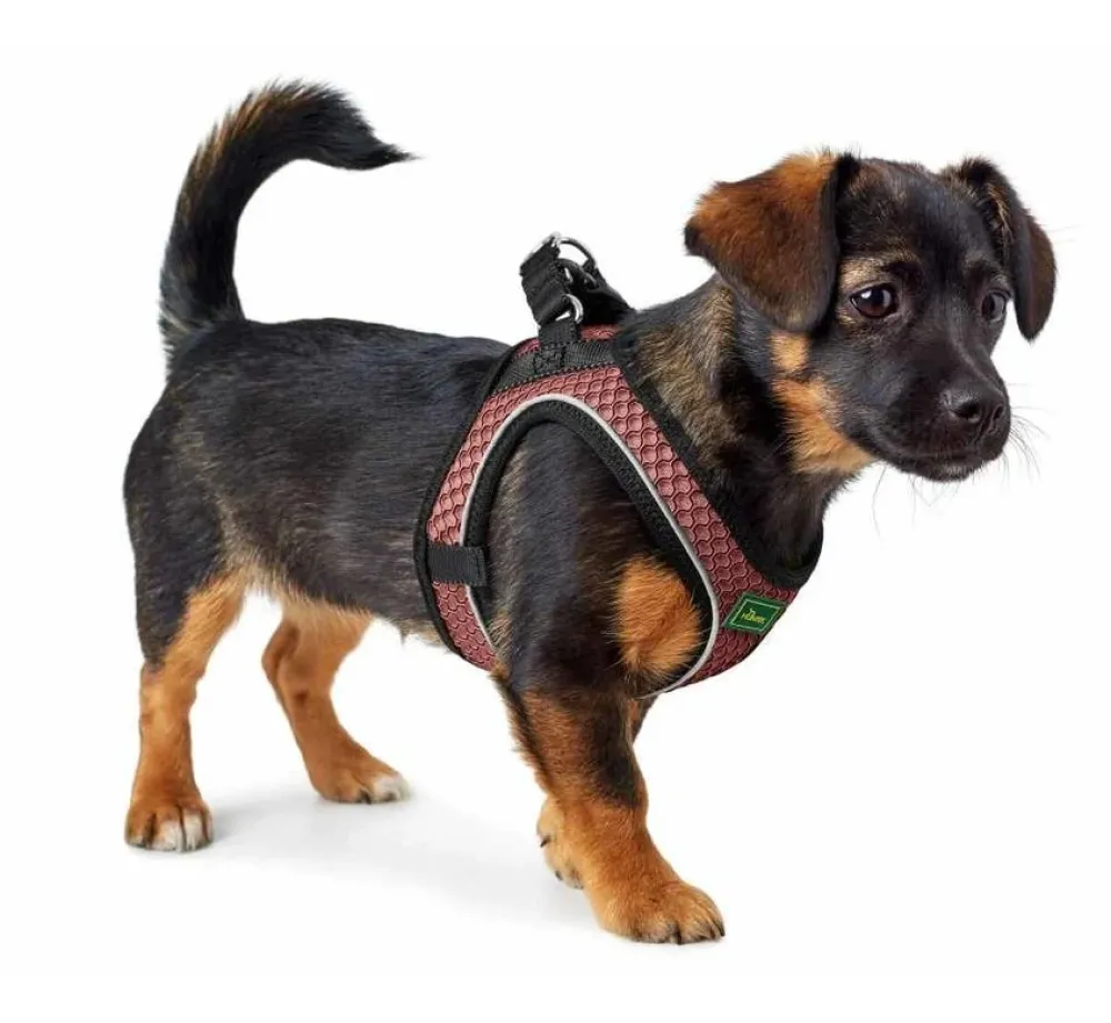 Hunter Hondentuig Hilo Comfort Oud Roze- Hunter Hondentuig