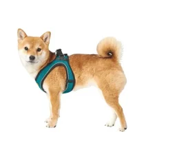 Hunter Hondentuig Hilo Comfort Turquoise- Hunter Hondentuig