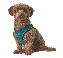 Hunter Hondentuig Hilo Comfort Turquoise- Hunter Hondentuig