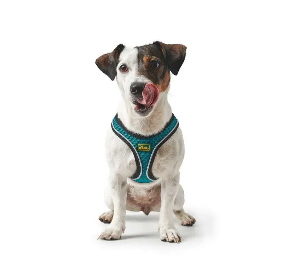 Hunter Hondentuig Hilo Comfort Turquoise- Hunter Hondentuig