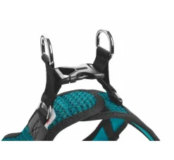 Hunter Hondentuig Hilo Comfort Turquoise- Hunter Hondentuig