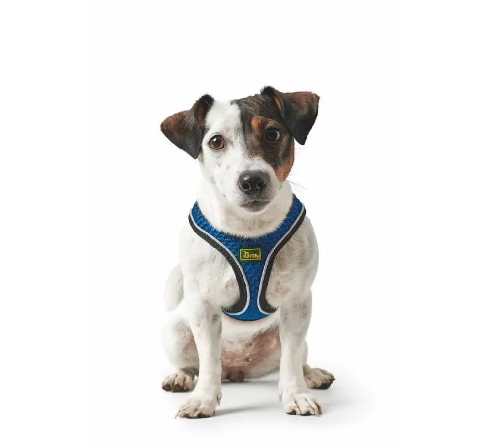 Hunter Hondentuig Hilo Comfort Blauw- Hunter Hondentuig