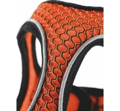 Hunter Hondentuig Hilo Comfort Oranje- Hunter Hondentuig