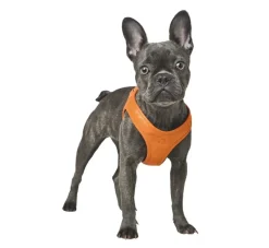 Hunter Hondentuig Hilo Oranje- Hunter Hondentuig