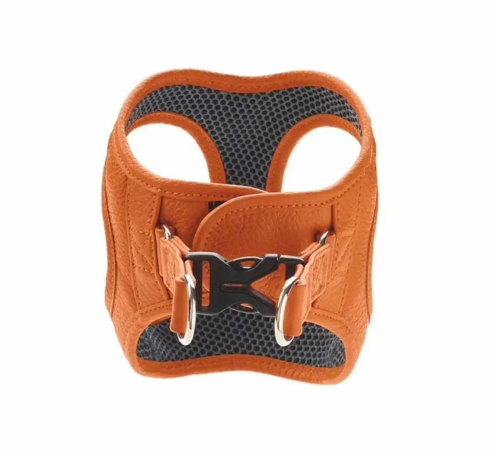 Hunter Hondentuig Hilo Oranje- Hunter Hondentuig