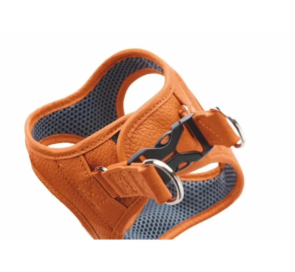 Hunter Hondentuig Hilo Oranje- Hunter Hondentuig