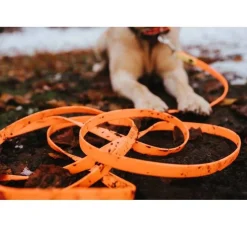 Hunter Jachtlijn Hond Convenience Oranje- Hunter Hondenriem