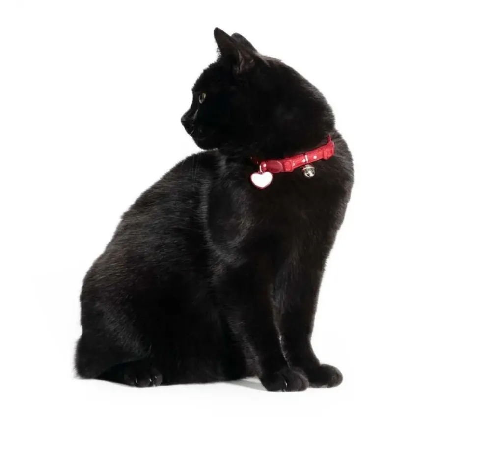 Hunter Kattenhalsband Glossy Dots Rood- Kattenhalsband