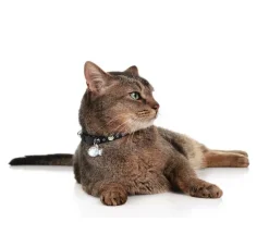 Hunter Kattenhalsband Krokom Zwart- Kattenhalsband
