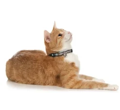 Hunter Kattenhalsband Signs- Kattenhalsband