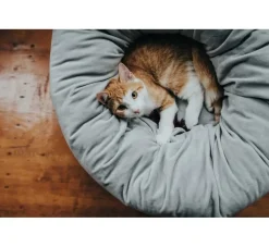 Hunter Kattenmand Miranda Grijs- Kattenmand