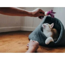 Hunter Kattenmand Samara- Kattenmand