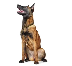Hunter Training Halsband Hond Solid Education Olive- Hondenhalsband