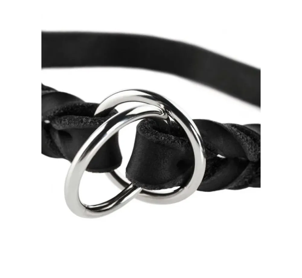Hunter Training Halsband Hond Solid Education Zwart- Hondenhalsband