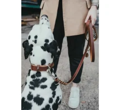 Hunter Trainingslijn Solid Education Cognac- Hunter Hondenriem