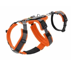 Hunter Veiligheidsharnas Maldon Oranje- Hunter Hondentuig