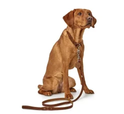 Hunter Verstelbare Hondenriem Solid Education Cognac- Hunter Hondenriem