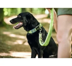 Hunter Verstelbare Hondenriem Hilo Lime- Hunter Hondenriem