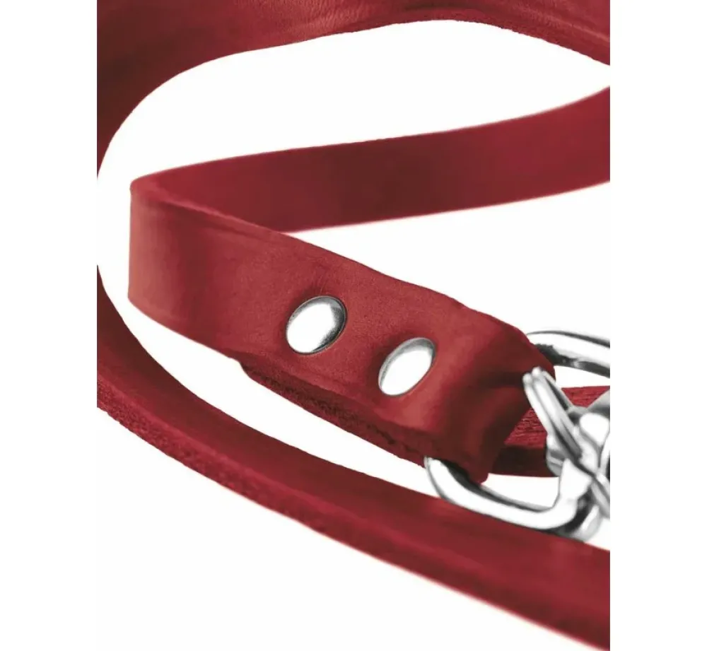 Hunter Verstelbare Hondenriem Rood Leer- Hunter Hondenriem