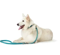 Hunter Verstelbare Hondenriem Hilo Turquoise- Hunter Hondenriem