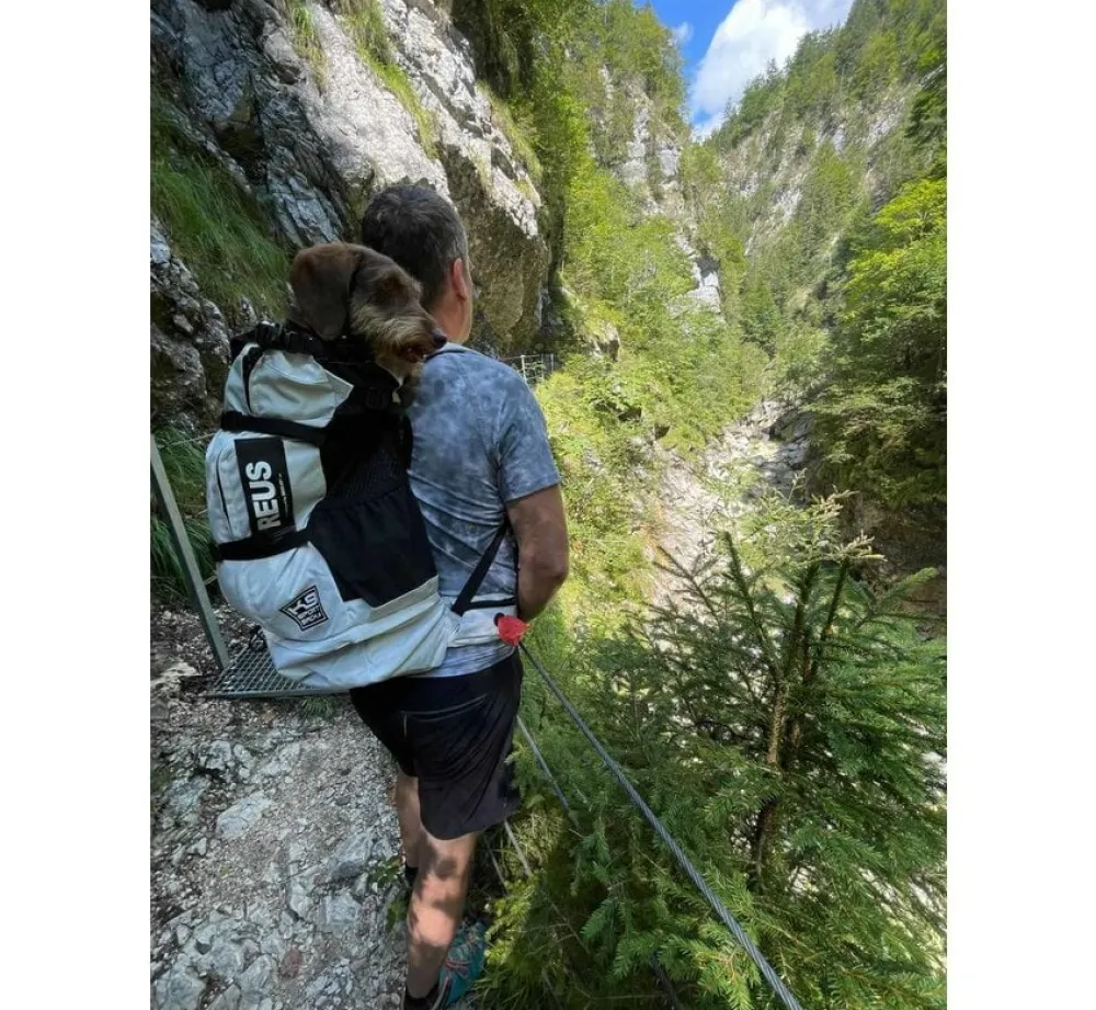 K9 Sport Sack Hondenrugzak Knavigate Grijs- Hondentas