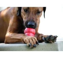 Kong Hondenspeelgoed Classic- Puppy Speelgoed