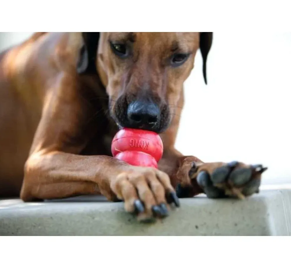 Kong Hondenspeelgoed Classic- Puppy Speelgoed