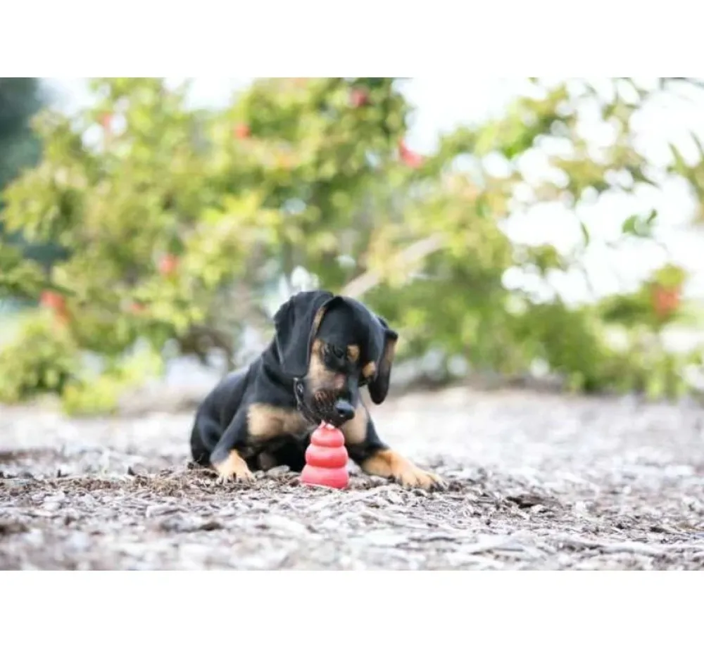 Kong Hondenspeelgoed Classic- Puppy Speelgoed
