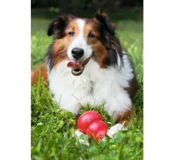 Kong Hondenspeelgoed Classic- Puppy Speelgoed