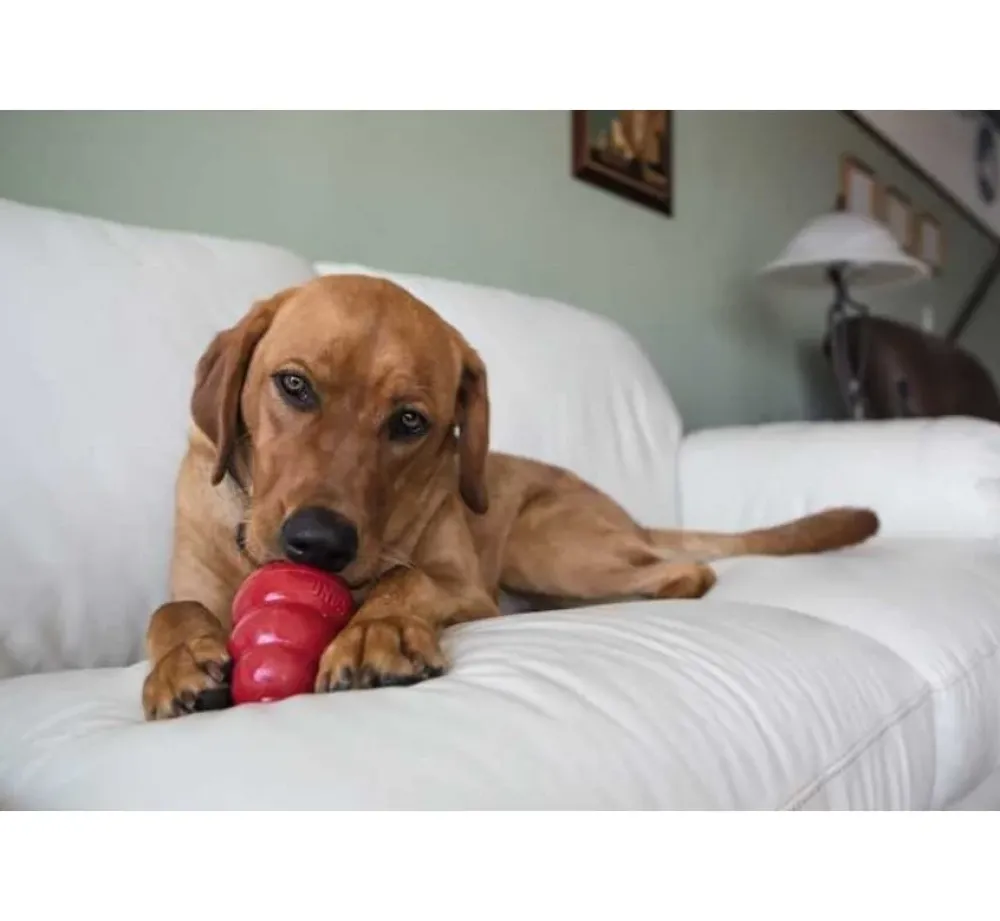 Kong Hondenspeelgoed Classic- Puppy Speelgoed