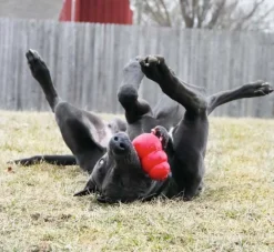 Kong Hondenspeelgoed Classic- Puppy Speelgoed