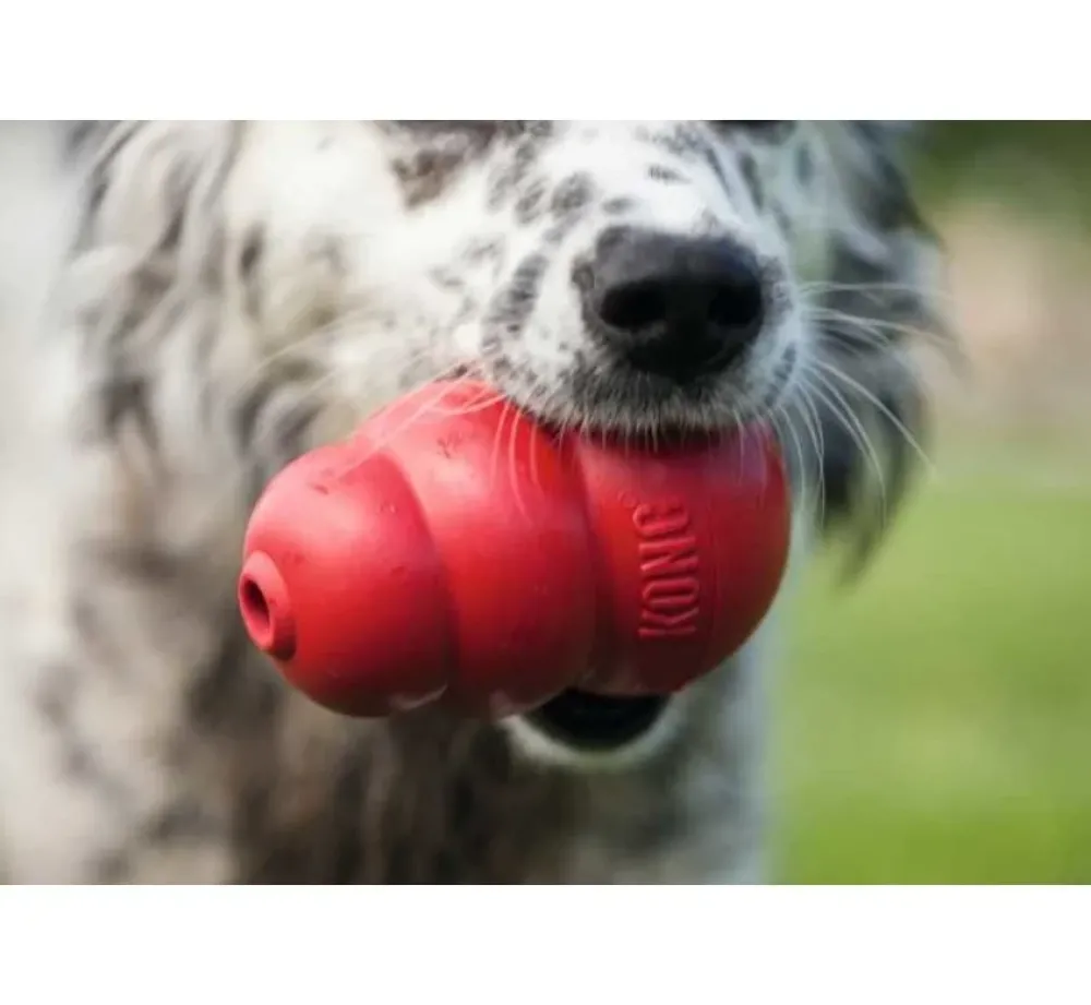 Kong Hondenspeelgoed Classic- Puppy Speelgoed