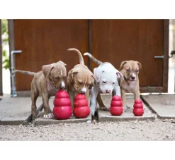 Kong Hondenspeelgoed Classic- Puppy Speelgoed