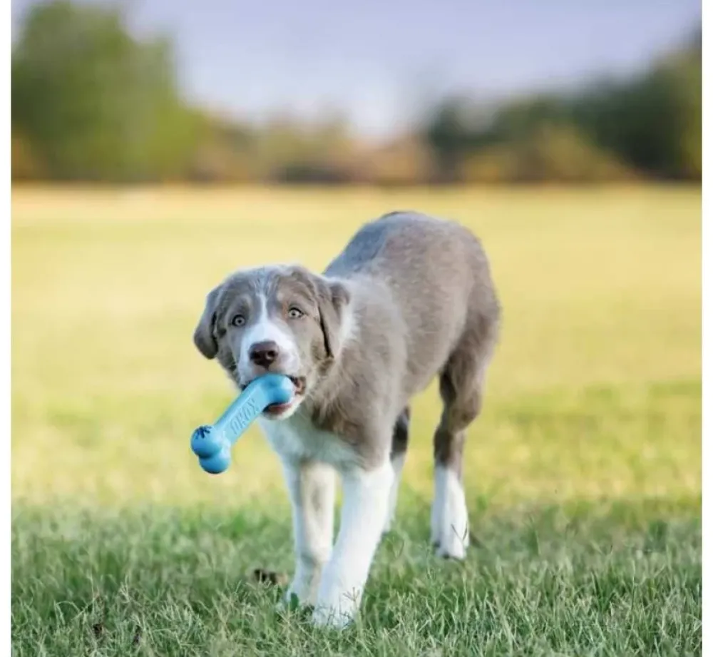 Kong Hondenspeelgoed Goodie Bone Puppy- Puppy Speelgoed