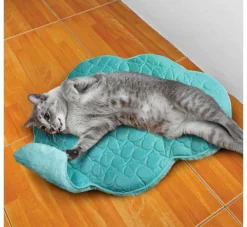 Kong Kattenspeelgoed Play Spaces Cloud- Kattenspeelgoed